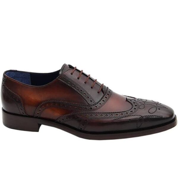 brown leather shoe