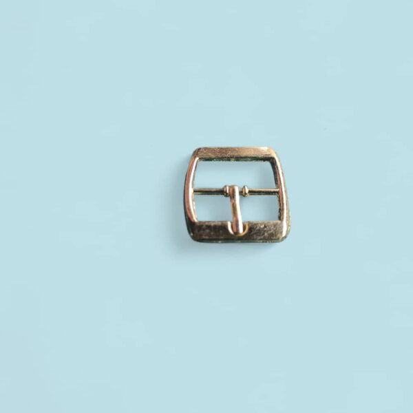 bag and shoe buckle
