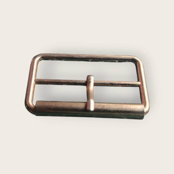 bag and shoe buckle